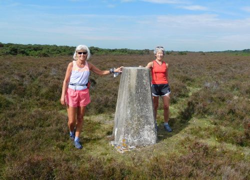 2020 trig